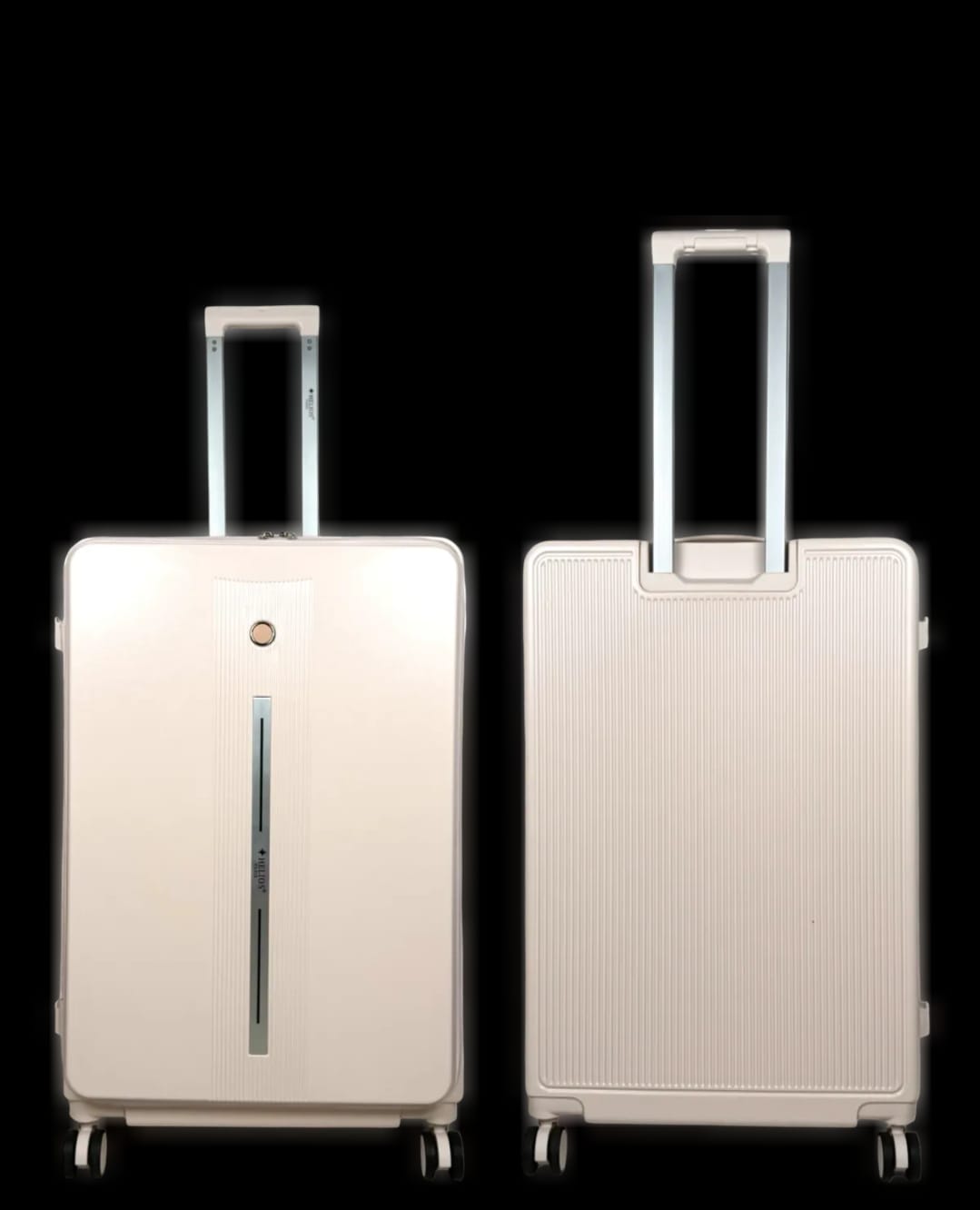Valise trolley antivol